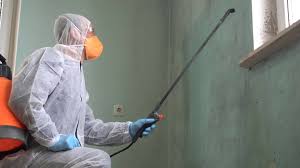 Mold Odor Removal Services in Ashville, AL